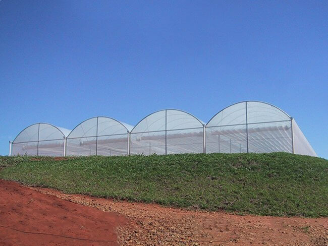 Anti insetos optinet 40 mesh