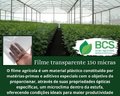 FILME TRANSPARENTE