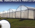 FILME TRANSPARENTE