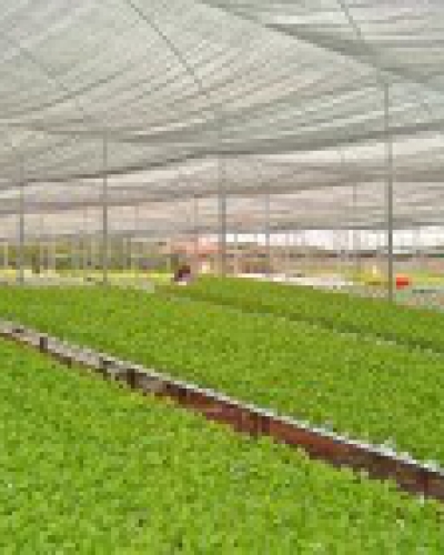 Tela FreshNet 35%