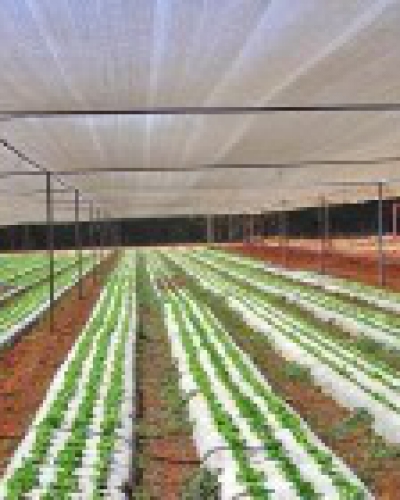 Tela FreshNet 50%