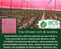 TELA VERMELHA 35%