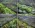 Tela Agrícola 50%