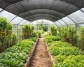 Tela Agrícola 50%